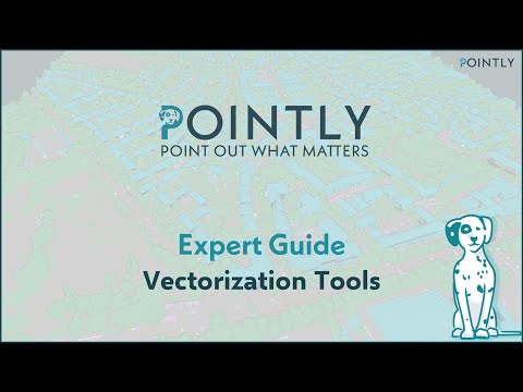 Pointly Expert Guide - Vectorization Tools