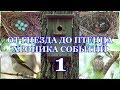 От гнезда до птенца. Хроника событий. Мухоловка-пеструшка ( Ficedula hypoleuca ) 1 часть