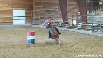 Handy Lil Freckles   ***For info, price, etc., go to our website*** Valley View Ranch