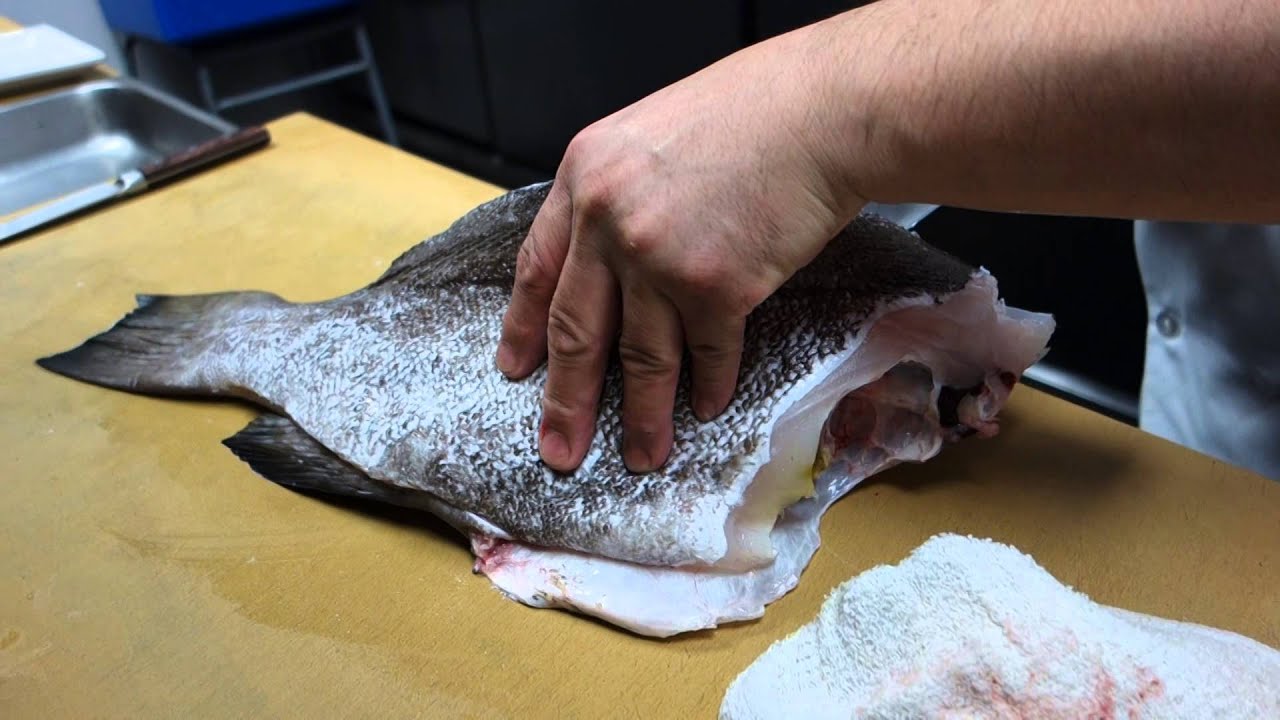 Filleting a Whole Grouper - $21 per pound!!  Read Below - How To Make Sushi Series