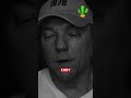 S537: Антон vs САПР для IT
