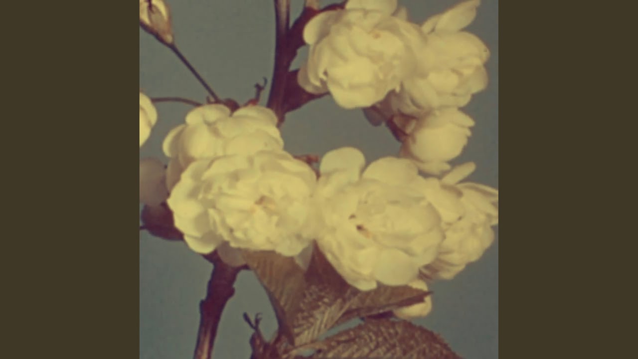 Watch Spiro on YouTube Watch Spiro on YouTube