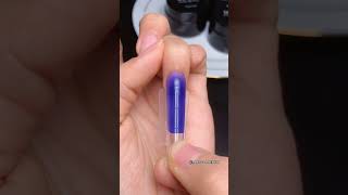 New Arrival Oval Sandwich Dual Form Used: Sandwich Dual Form #sandwichdualform #nailsart #nails