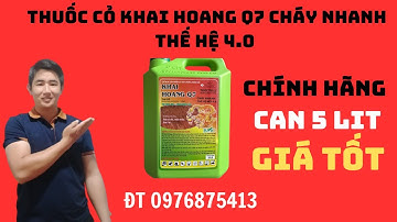 Thuốc trừ cỏ khai hoang Q7 can 5 lít cháy nhanh thế hệ mới giá rẻ chính hãng