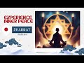 Experience inner peace guided shabbat meditation harav daniel kohn