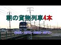 JR貨物 2022/01/09 ダイヤ乱れがまだ続く 朝の貨物列車4本 東海道本線