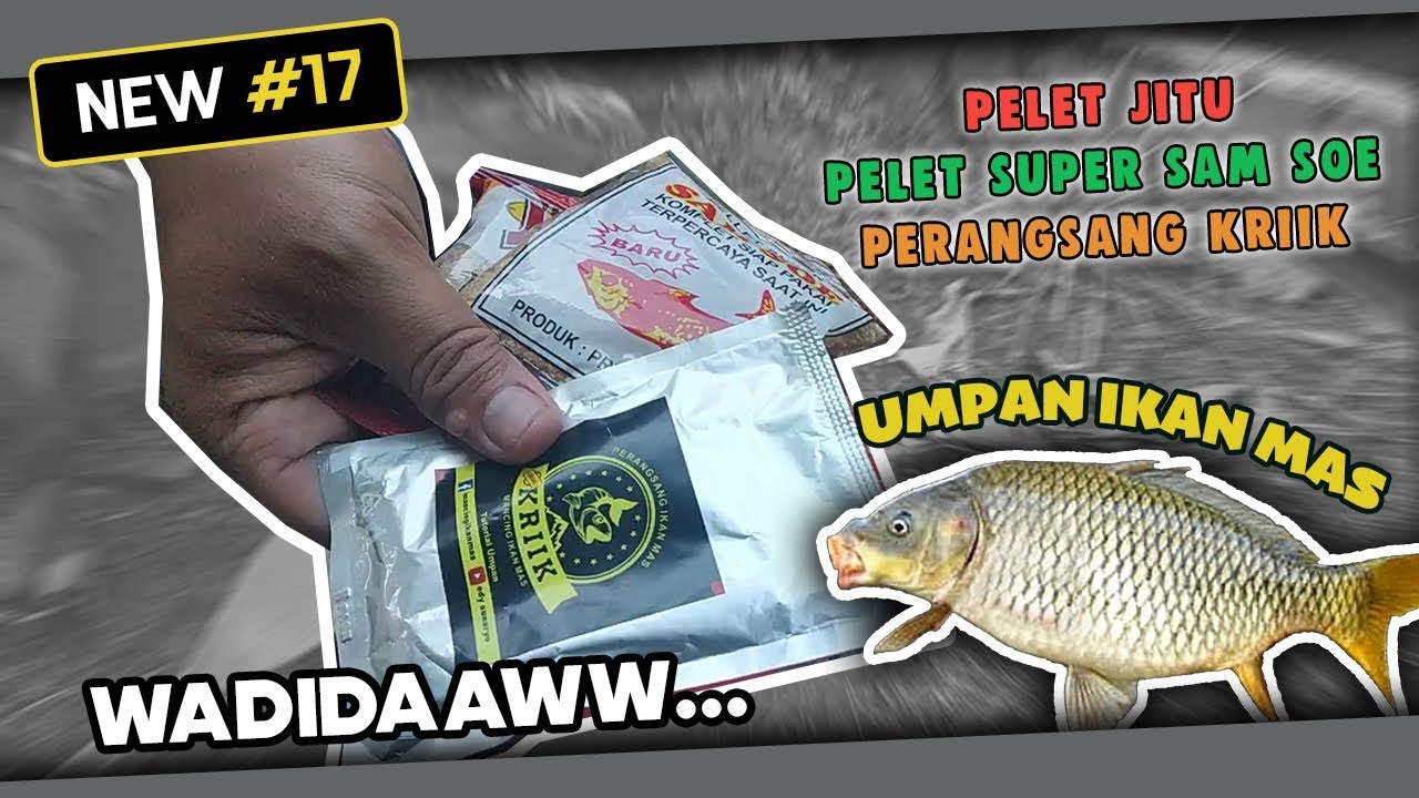Umpan Ikan Mas Pelet Jitu Sam Soe & Perangsang Kriik