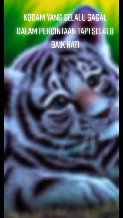 Khodam macan putih bikin??🤔🤔