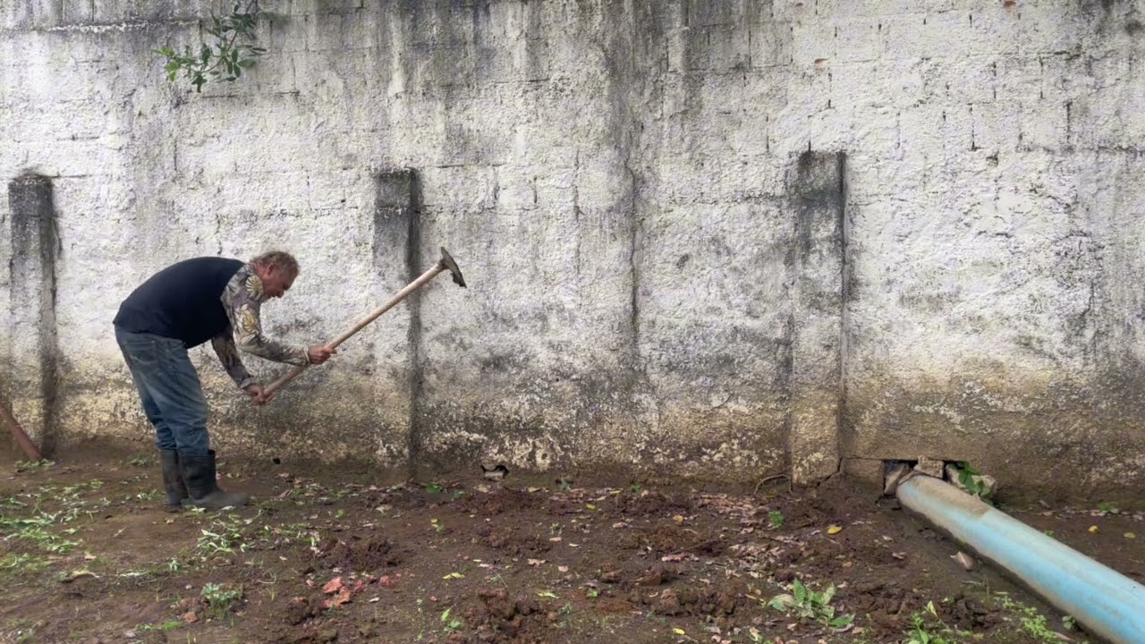 MANHÃ NA ROÇA CASA DO SÍTIO 