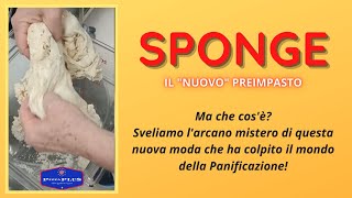 SPONGE : Che cos&#39;è? #sponge #pizza #pizzaplus