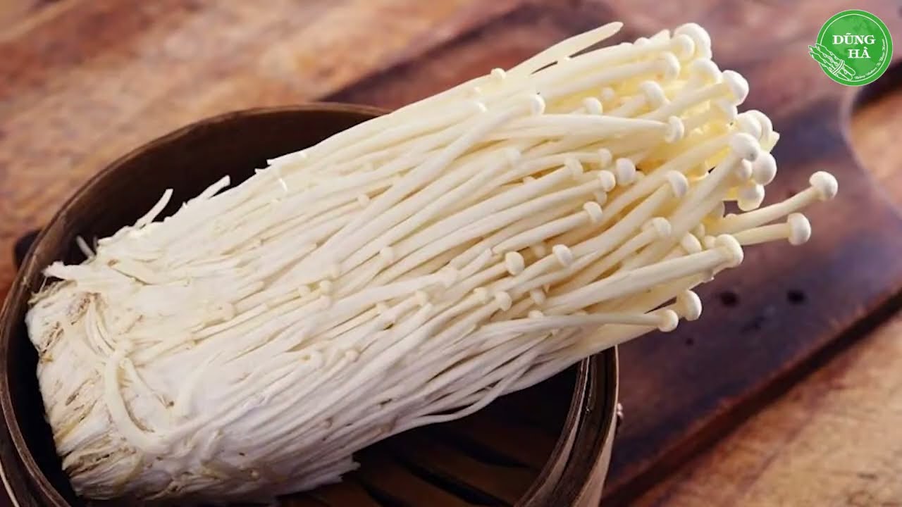 Tìm hiểu lợi ích của nấm kim châm nhập từ Trung