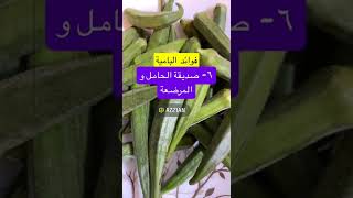 فوائد البامية  للجسم  للعظام  للرجال  للمرأة لمرضى السكري التنحيف للحامل للمرضعة د بيرج 6 az21an