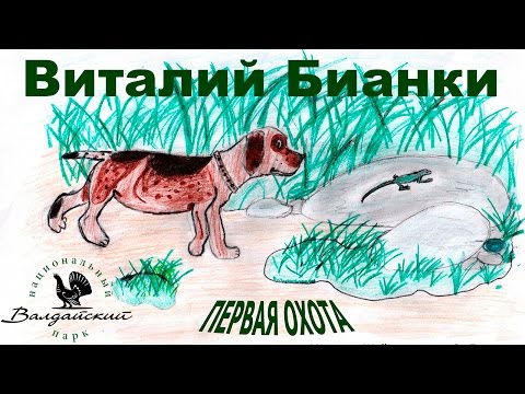 Виталий Бианки: Первая охота