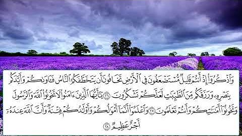 surah anfal by voice idris abkar/سورة الانفال بصوت ادريس ابكر