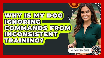 Why Is My Dog Ignoring Commands From Inconsistent Training? - Obedient Dog Guide