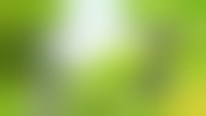 Анекдот о том, как медведь зайцев за сигаретами послал