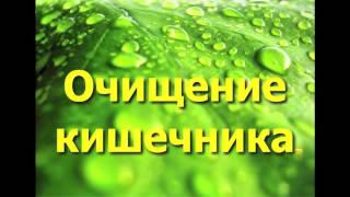 Очищение кишечника при помощи растительных пектинов ( свекла, тыква, яблоки) Очищение кишечника при помощи растительных пектинов ( свекла, тыква, яблоки)
