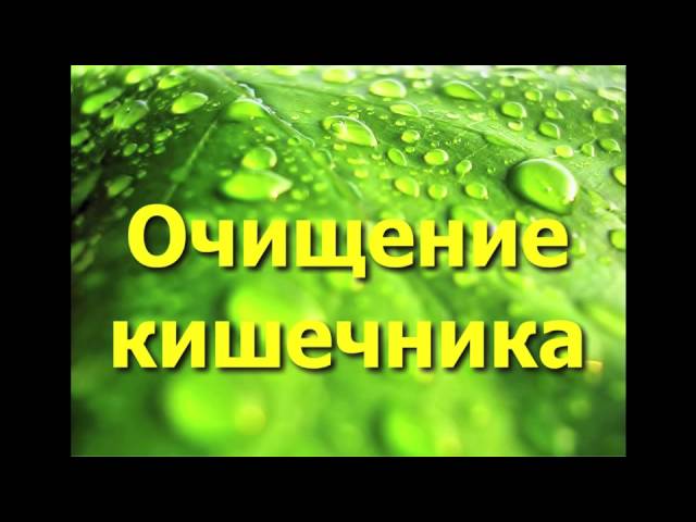 Очищение кишечника при помощи растительных пектинов ( свекла, тыква, яблоки)