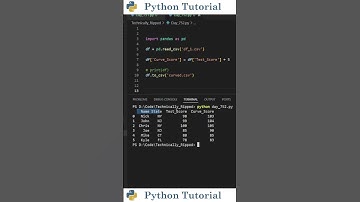 Export Specific Columns From a Pandas DataFrame | Python Tutorial