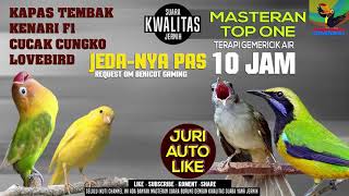 Master Burung full Tembakan (Kenari, Lovebird, Kapas Tembak, Cucak Cungko) REQUEST OM BEKICOT GAMING