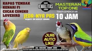 Master Burung full Tembakan (Kenari, Lovebird, Kapas Tembak, Cucak Cungko) REQUEST OM BEKICOT GAMING