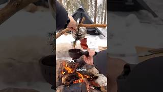 Как выжить в сибирском лесу