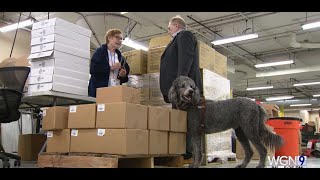 WGN 9: ‘Everyone loves a dog:’ Meet the Chicago Lighthouse Guide Dogs