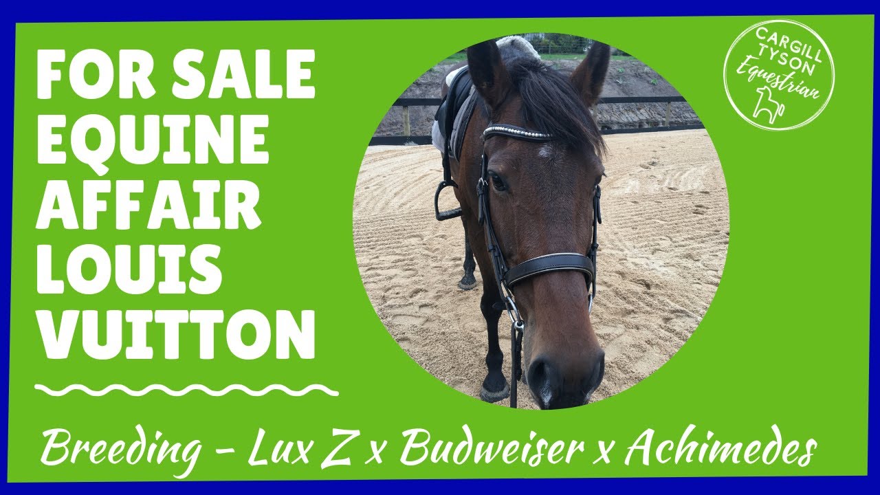 Louis for sale (Equine Affair Louis Vuitton) 