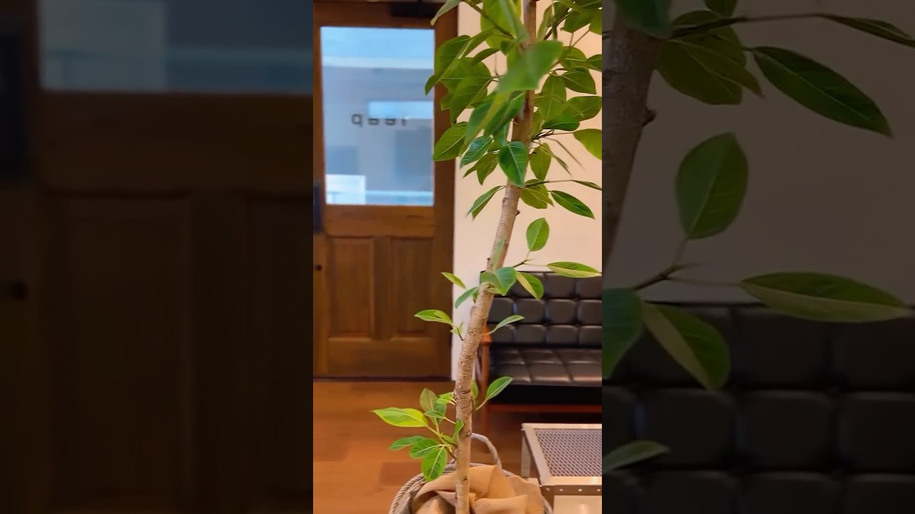 木製ドア WOOD DEPOT / 木製玄関ドア ID-843.