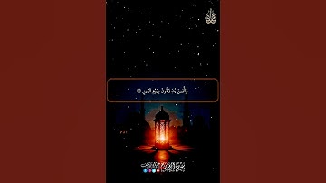 سورة المعارج#اكسبلور #كامري #automobile #راحة_نفسية #القزابري #art #حالات_واتس #تيك_توك #ترند #لايك