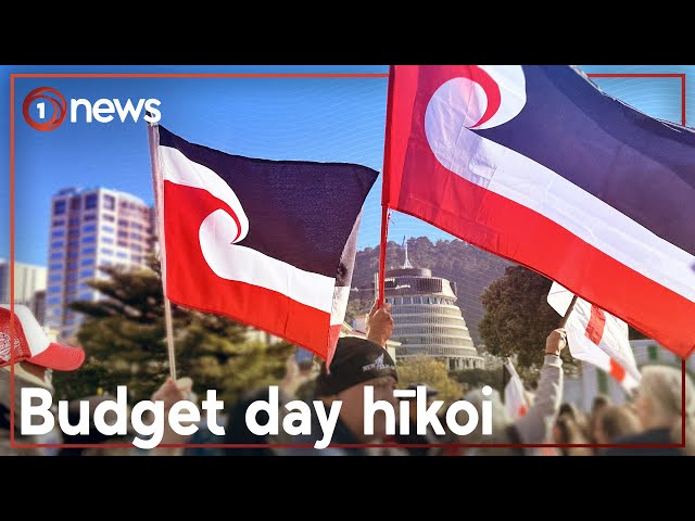 Budget 2024: Peaceful protests held across Aotearoa | 1News class=