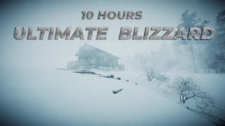 The Ultimate Blizzard in a Forest┇Blowing Snow & Howling Wind┇Sounds for Sleep, Study & Relaxation