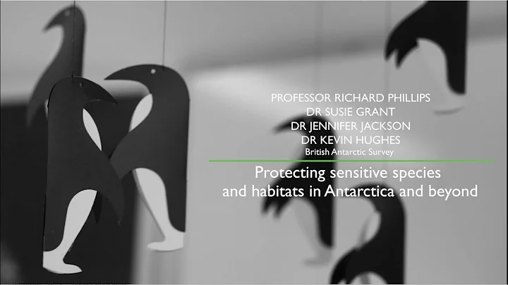 Protecting sensitive species and habitats in Antarctica and beyond | NERC Impact Awards 2023