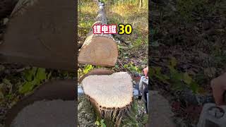 Mini Chainsaw 4 Inch Cordless Power Chain Saws Portable 18V Electric Chainsaw Pruning Shears Chainsa