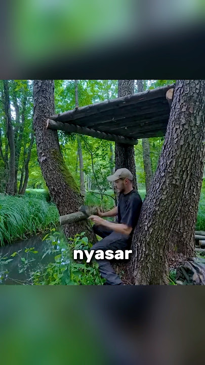 nyasar di hutan malah bikin rumah pohon