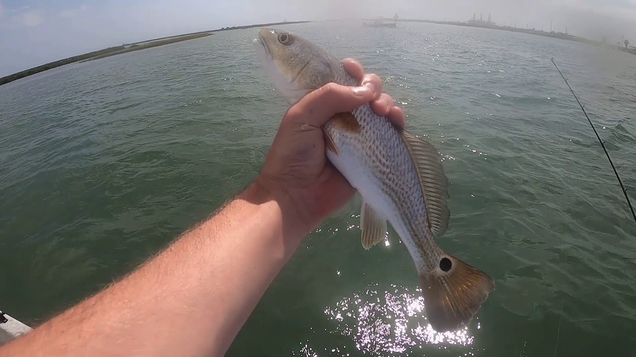 Fishing For Big Reds and Trout at the Texas Coast YouTube