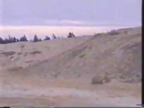 ترنيمة ليه تهون نفسك عليكي جميله جدا اسمعوها