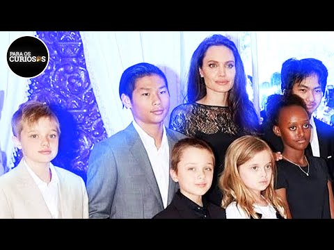 Vídeo: Angelina Jolie Não Pode Viajar Com Seus Filhos
