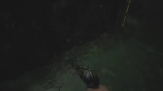 Beating Moreau Fast Strat | Achievement/Trophy Guide (Resident Evil: Village)