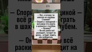 Почему спорить с женой — как играть в шахматы с голубем? #семья #юмор