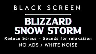 Blizzard Snow Sounds | Symphony of Snow and Wind | Balck Screen