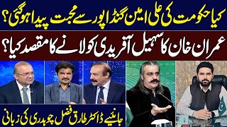 Government Care for Ali Amin Gandapur? Imran Khan Purpose in Bringing Sohail Afridi?
