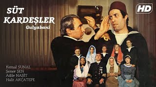 Süt Kardeşler Filmi Fon Müziği  Yeşilçam Bahriyelim Güzelsin 1976 | Ufukta bir şey yok kumandanım Resimi