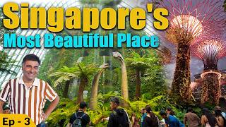 EP 3 Singapore - Orchard Road, Chinese and Japanese Gardens, IMM Mall, Night Safari