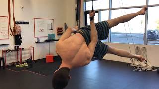 Band Assisted Reverse Meathook Lower