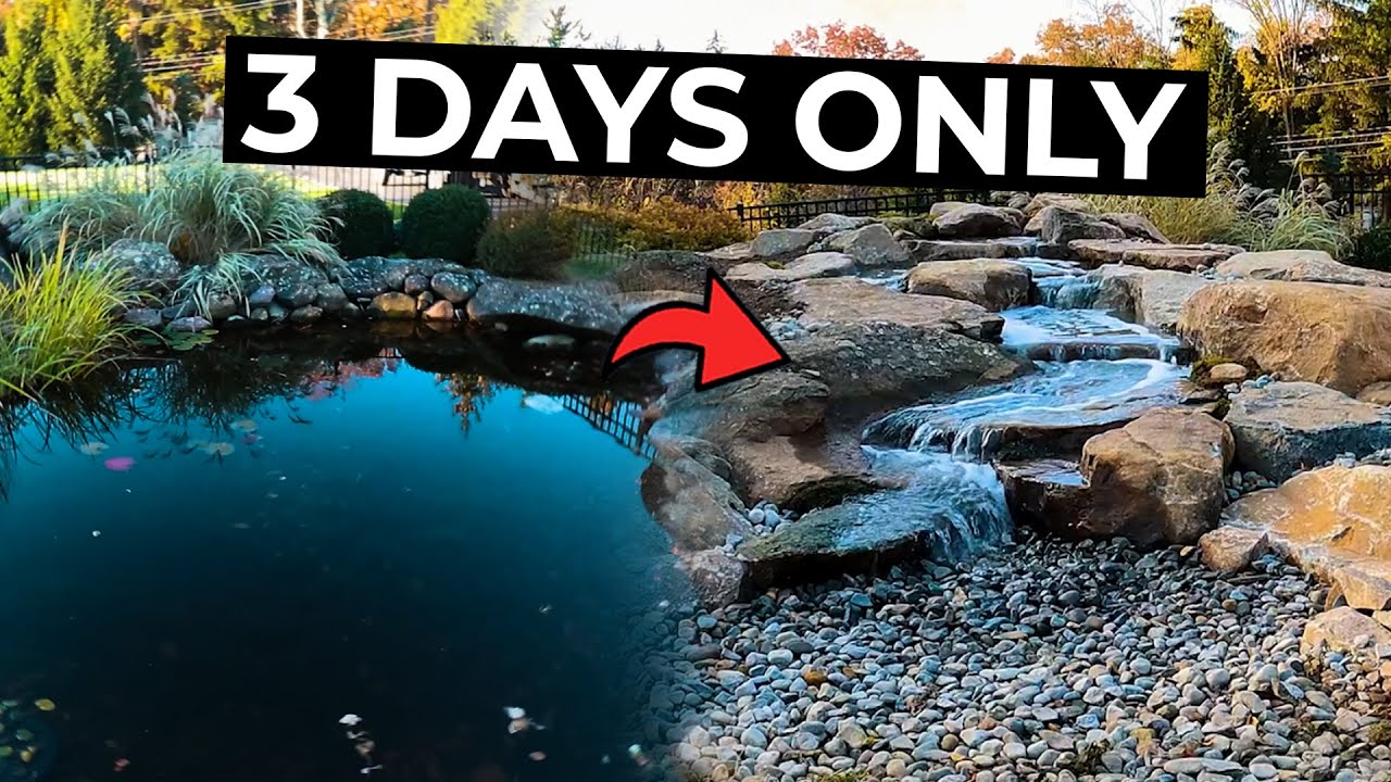 Pond to Pondless Transformation | FINISHED!