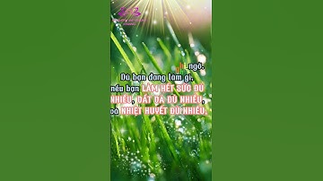 Trích câu nói hay của  Zig Ziglar. Relaxation and Healing Channel