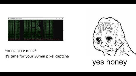 Me and the boys when we bot pixels onto a virtual canvas for 2 weeks straight