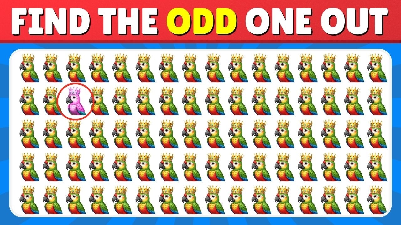 Find One Find the Odd One Out – Animals Edition 🐾 | 99% Fail This Tricky Puzzle ...