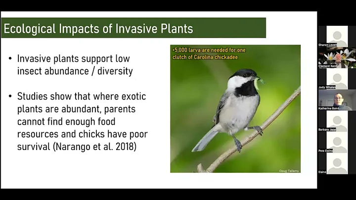 ParkdaleTorontoH...  Katherine Baird InvasivePlants